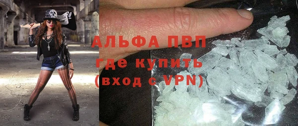 крисы Абаза