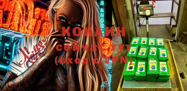 твердый Алексеевка
