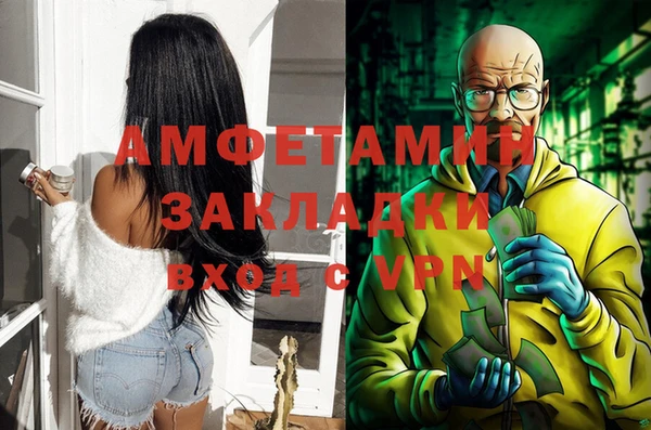 крисы Абаза