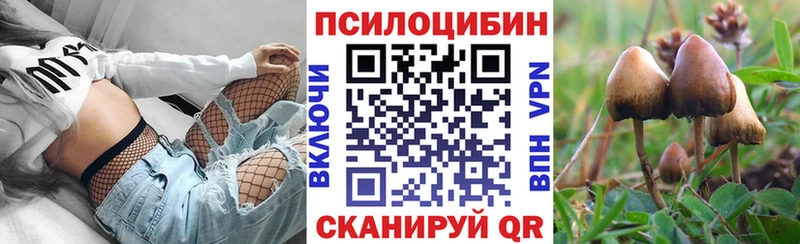 наркотики  Егорьевск  Псилоцибиновые грибы Magic Shrooms 