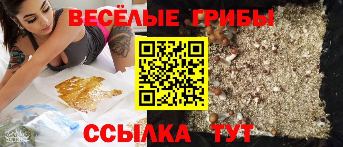Галлюциногенные грибы прущие грибы Егорьевск