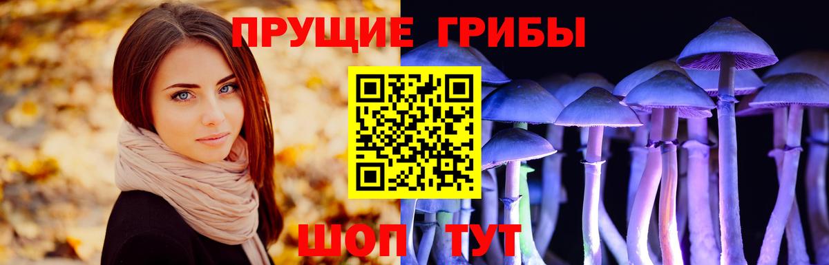 Егорьевск  Галлюциногенные грибы Psilocybe  Вход с VPN 