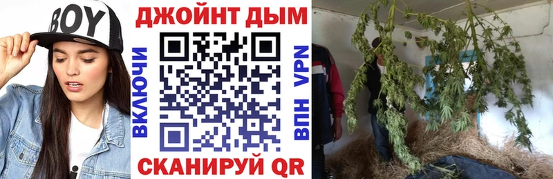 сколько стоит Егорьевск Каннабис OG Kush
